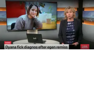 SVT: Lokala Nyheter Uppsala